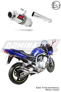 Yamaha FZS FAZER 1000 2001 - 2005 EU Omologato approvato Terminale di Scarico Silenziatore GP1