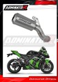 scarico silenziatore DOMINATOR GPS adatto alla moto Kawasaki ZX10R 2016 - 2020 2