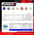 scarico silenziatore DOMINATOR omologato OVR adatto alla moto Kawasaki Z1000 2003 - 2006 3