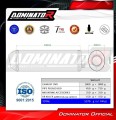 exhaust muffler DOMINATOR OVR fits to Aprilia Pegaso 650 Trail 2006  2010 3