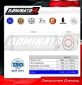 Pegaso 650 Strada Exhaust Aprilia Muffler Auspuff Sportauspuff Silencer Echappement Silencieux Scarico Scarichi Escape OVR BL 2007 - 2010 Dominator 1