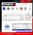 scarico silenziatore DOMINATOR S6 adatto alla moto CF MOTO 450 MT 2024  5