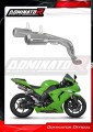 scarico silenziatore DOMINATOR GPS adatto alla moto Kawasaki ZX10R 2006 - 2007 2