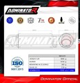 impianto di scarico completo con silenziatore DOMINATOR Full System GPF adatto alla moto Triumph Trident 660 2021 - 2024 6