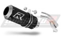 exhaust muffler DOMINATOR GP BLACK fits to BMW S1000R 2017  2020