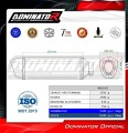 scarico silenziatore DOMINATOR titanio HP6 adatto alla moto Triumph Daytona 660 2024 - 2026 7