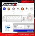 scarico silenziatore DOMINATOR S6 nero adatto alla moto Triumph Daytona 660 2024 - 2026 7