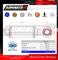 complete exhaust system with muffler DOMINATOR Full System S3 fits to Yamaha YZF R125 2024  2026 5