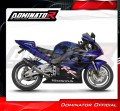 scarico silenziatore DOMINATOR GP nero adatto alla moto Honda CBR 954 2002 - 2003 6