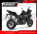 scarico silenziatore DOMINATOR titanio HP7 adatto alla moto QJMOTOR SRT 900 S / SX 2025 - 2026 4