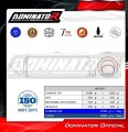 scarico silenziatore DOMINATOR GPF adatto alla moto Yamaha TDM 900 2002 - 2013 6