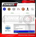 exhaust muffler DOMINATOR GPS fits the motorcycle KTM 125 Duke 2021   2023 6