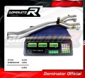 MT 10 Exhaust Cat Eliminator Catalyst Catalytic Converter Linkpipe Decat Downpipe 2016 – 2019 DOMINATOR 1